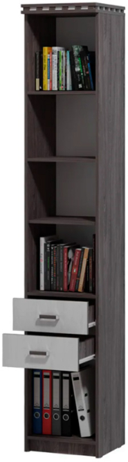 Шкаф комбинированный Ольга 13