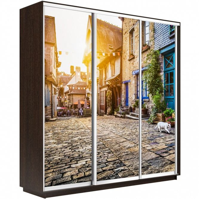 Шкаф-купе Экспресс 3-х дверный (Фото №1022 Улица)