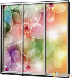 Шкаф купе 3х дв Фотопечать № 89