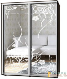 Шкаф-купе 2х дв Стандарт Пескоструй № 99