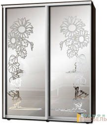 Шкаф-купе 2х дв Стандарт Пескоструй фон матовый № 41