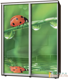 Шкаф-купе 2х дв Стандарт Фотопечать № 132