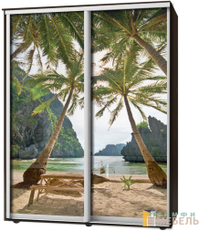 Шкаф-купе 2х дв Стандарт Фотопечать № 136