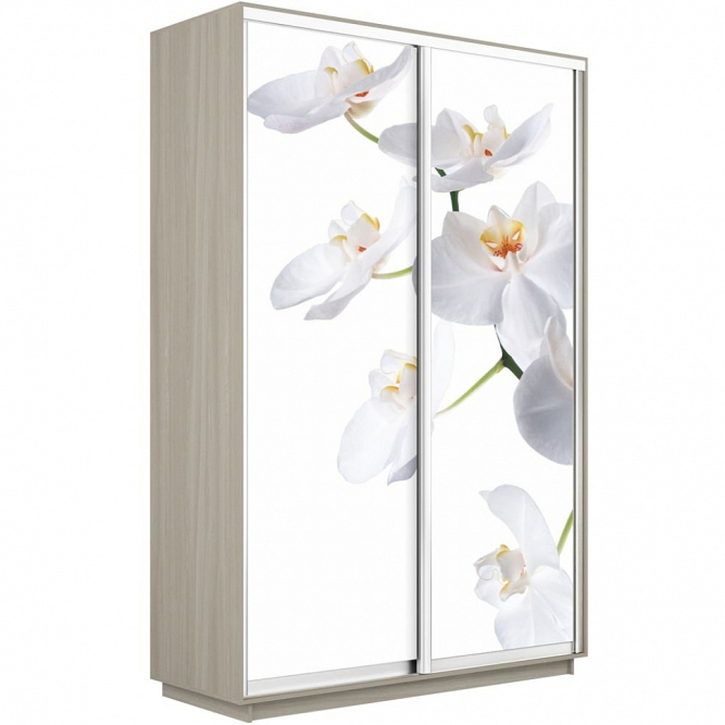 Шкаф-купе Экспресс 2-х дверный (Фото №1025 Орхидея белая)