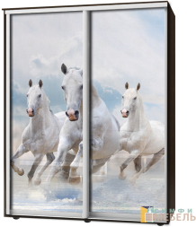 Шкаф-купе 2х дв Стандарт Фотопечать № 141