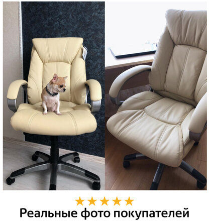 Кресло офисное BRABIX "Maestro EX-506", экокожа, бежевое, 531168