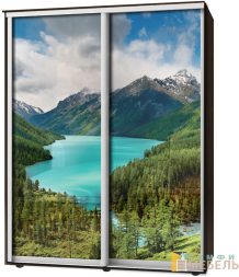 Шкаф-купе 2х дв Стандарт Фотопечать № 43