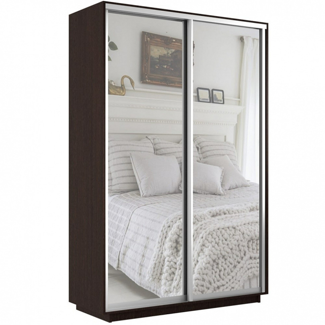 Шкаф-купе Экспресс 2-х дверный ( Зеркало) Венге