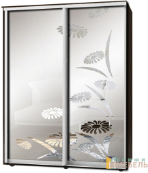 Шкаф-купе 2х дв Стандарт Пескоструй фон матовый № 55