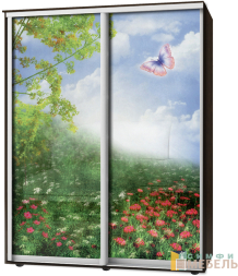 Шкаф-купе 2х дв Стандарт Фотопечать № 58
