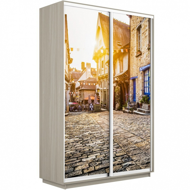 Шкаф-купе Экспресс 2-х дверный (Фото №1022 Улица)