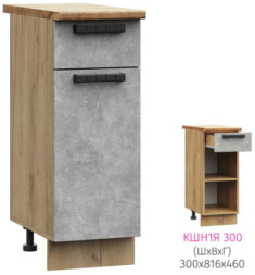 ШН1Я 300 Модена