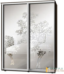 Шкаф-купе 2х дв Стандарт Пескоструй фон матовый № 85