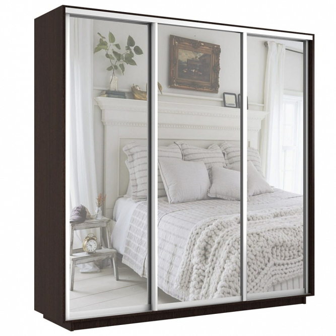 Шкаф-купе Экспресс 3-х дверный ( Зеркало) Венге