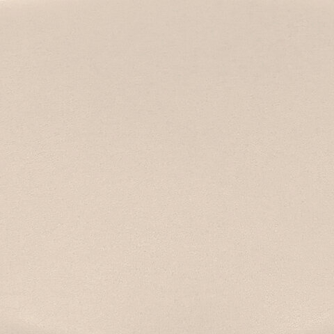 Стул для персонала и посетителей BRABIX &quot;Iso CF-005&quot;, черный каркас, кожзам бежевый, 531978