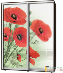Шкаф-купе 2х дв Стандарт Фотопечать № 79