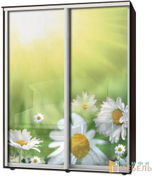 Шкаф-купе 2х дв Стандарт Фотопечать № 80