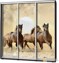 Шкаф купе 3х дв Фотопечать № 54