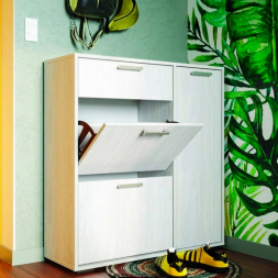 Обувница Дели-4