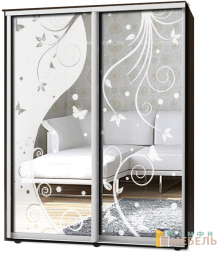 Шкаф-купе 2х дв Стандарт Пескоструй № 66