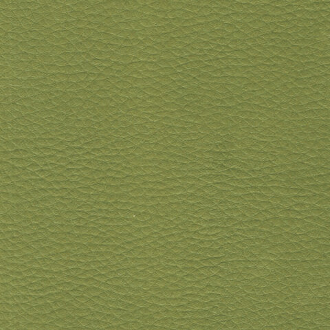 Пуф &quot;Хост&quot; М-43, 620х620х450 мм, экокожа, светло-зеленый