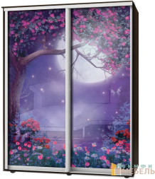 Шкаф-купе 2х дв Стандарт Фотопечать № 98