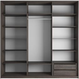 Шкаф-купе Эста 3-х дверный Комби (Стекло черное, Стекло белое) Венге Мали