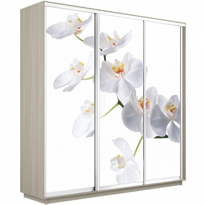 Шкаф-купе Экспресс 3-х дверный (Фото №1025 Орхидея белая)