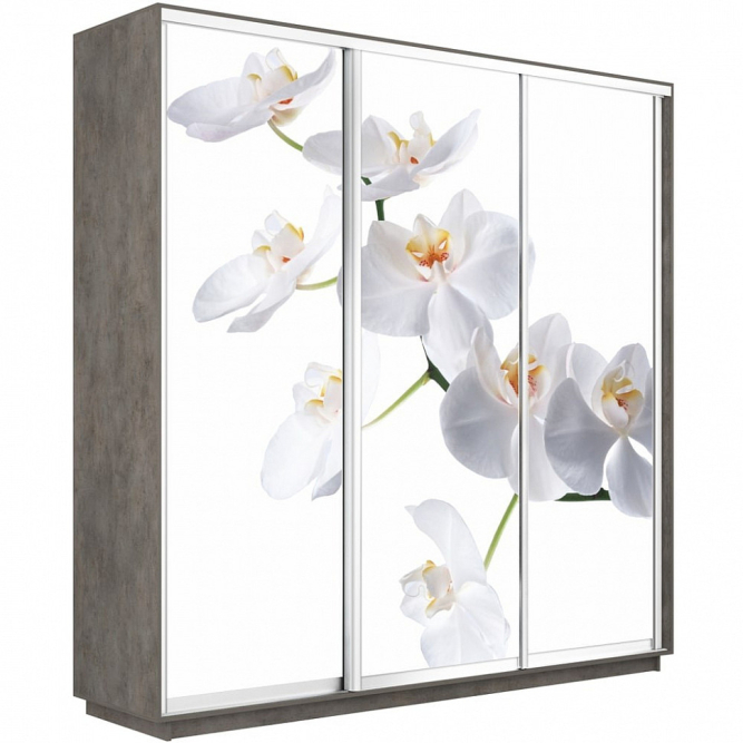 Шкаф-купе Экспресс 3-х дверный (Фото №1025 Орхидея белая)