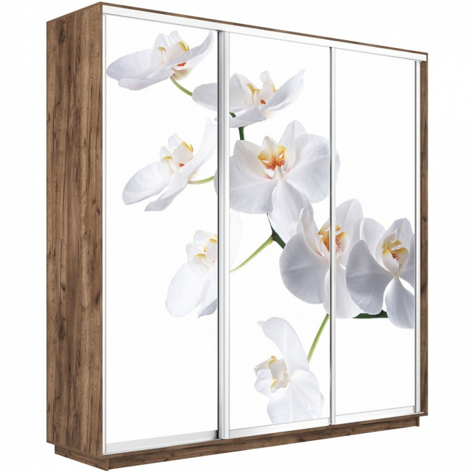 Шкаф-купе Экспресс 3-х дверный (Фото №1025 Орхидея белая)