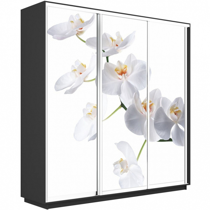 Шкаф-купе Экспресс 3-х дверный (Фото №1025 Орхидея белая)