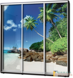 Шкаф купе 3х дв Фотопечать № 74