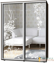 Шкаф-купе 2х дв Стандарт Пескоструй № 77