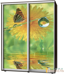 Шкаф-купе 2х дв Стандарт Фотопечать № 105