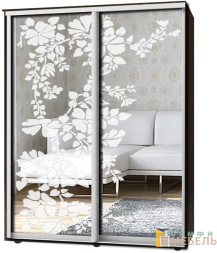 Шкаф-купе 2х дв Стандарт Пескоструй № 80