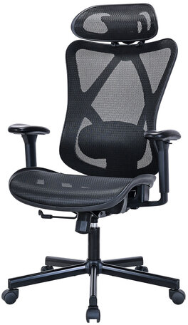 Кресло BRABIX PREMIUM "Axion ER-701", синхромеханизм, регулируемые подголовник и спинка, сетка, черное, 532965
