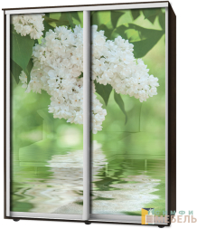 Шкаф-купе 2х дв Стандарт Фотопечать № 112