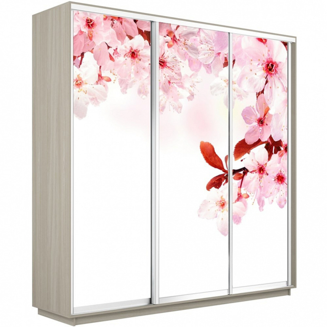 Шкаф-купе Экспресс 3-х дверный (Фото №1023 Сакура)